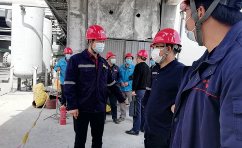王大真到TMP、TPO項目及股份公司技改現(xiàn)場檢查工作(圖2)