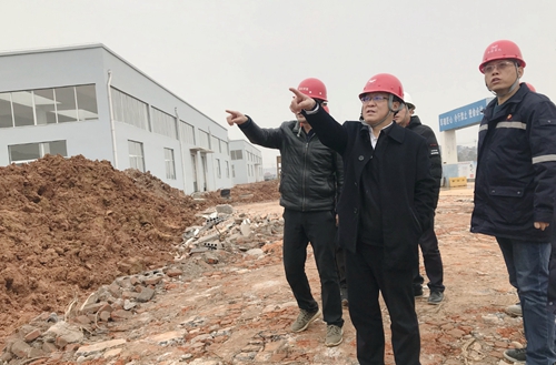 王大真到新材料公司、TPO項(xiàng)目現(xiàn)場(chǎng)和股份公司檢查工作(圖2)