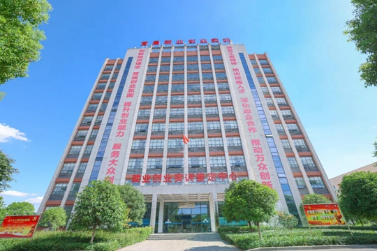 湖北省第一批“荊楚工匠學(xué)院”！宜化職業(yè)培訓(xùn)中心獲授牌(圖2)