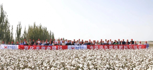 宜化豐收中國(guó)行！新疆棉花大型測(cè)產(chǎn)觀摩會(huì)成功舉行