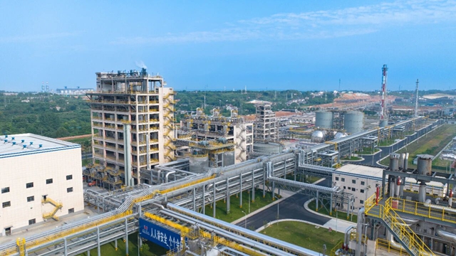 集團兩家單位入選2024年度石化行業(yè)重點產品能效“領跑者”名單