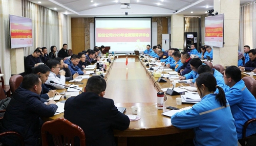王大真調(diào)研指導(dǎo)股份公司、化機(jī)公司和TMP新項(xiàng)目2020年財(cái)務(wù)預(yù)算工作