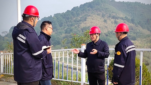 王大真到松滋肥業(yè)、楚星公司、新材料公司和股份公司現(xiàn)場(chǎng)調(diào)研