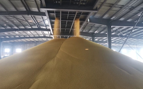 新年新氣象！楚星公司黃色磷酸二銨產品成功下線